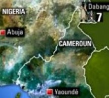 Cameroun : Un avion avec 11 personnes à bord s’écrase dans la forêt