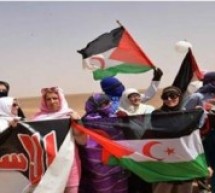 Sahara occidental: Condamnation des violations marocaines du droit international