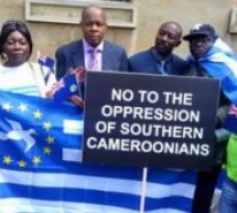 Cameroun / Ambazonie : la crise « la plus négligée au monde »