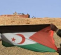 Moaroc / Sahara Occidental: Le Maroc veut enrôler dans son armée des migrants subsahariens