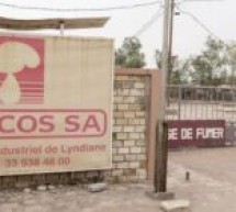 Casamance : L’usine de SONACOS de Ziguinchor pollue les populations