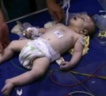 Gaza : 120 bébés en couveuses en péril, selon l’Unicef
