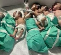 Israël / Palestine : 24 décès à l’hôpital al-Chifa de Gaza en deux jours faute d’électricité