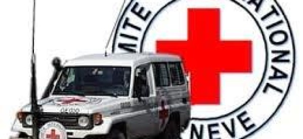 Guerre Israël – Palestine : L’intervention militaire israélienne à Rafah présente un « risque désastreux » selon la Croix-Rouge