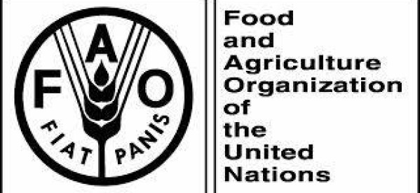 FAO / Rome/ Italie: Un tiers de la nourriture mondiale gaspillée chaque année et a un impact négatif sur l’environnement
