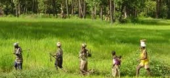 Casamance: Le projet SCOPE réconcilie les communautés de Grand Koulaye et celles de Djiro dans la commune de Oulampane