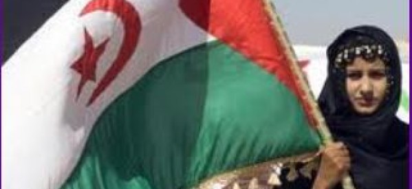 Sahara Occidental : Les Européens dénoncent de «nouvelles agressions» du Maroc contre le peuple Sahraoui