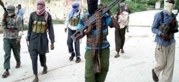 Cameroun :  21 civils enlevés par Boko Haram
