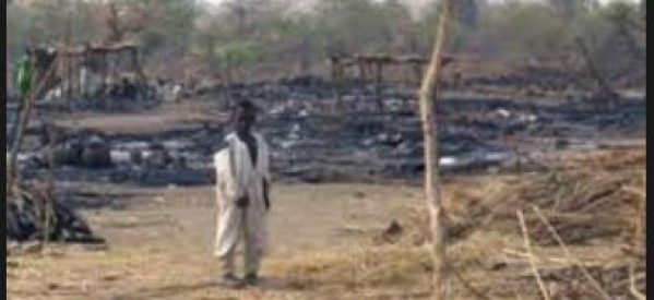 Casamance: L’armée sénégalaise incendie tout le village de Basséré dans le Nyassia