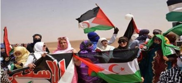 Sahara occidental : Un groupe d’étude au sein de l’Assemblée nationale française