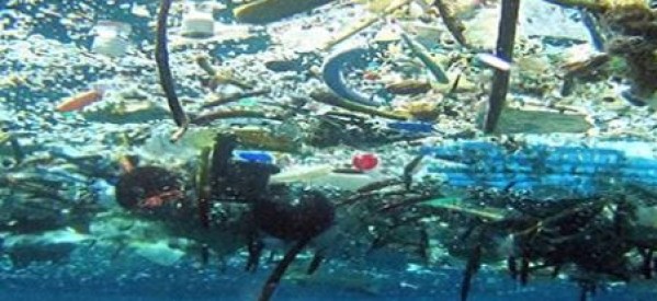 France: Champion des déchets plastiques selon WFF