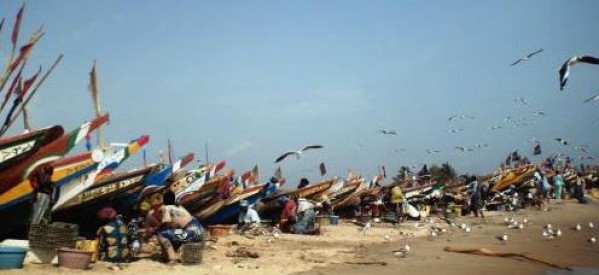 Gambie : Les députés de l’Assemblée nationale demande la suspension des accords de pêches avec le Sénégal