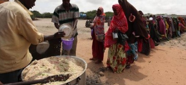 Tchad : le gouvernement déclare une « urgence alimentaire et nutritionnelle »