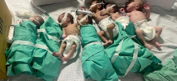 Israël / Palestine : 24 décès à l’hôpital al-Chifa de Gaza en deux jours faute d’électricité