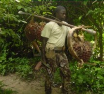 Casamance: anciens militaires et jeunes de Bignona rallient le maquis du MFDC