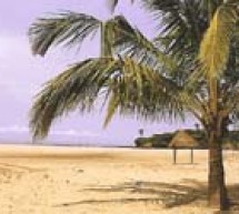 Casamance: une destination touristique à sauver
