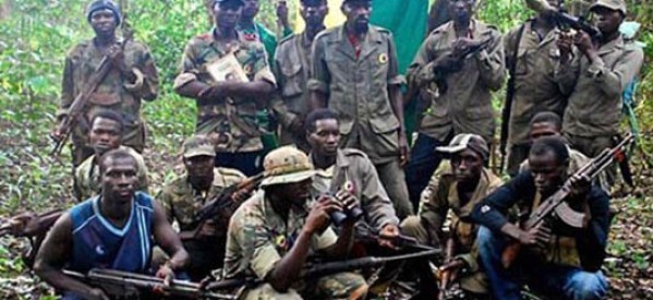 Casamance : La Casamance sous haute tension: les combattants du MFDC en alerte maximale