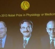 Etats-Unis / Allemagne: Prix Nobel de Médecine accordé à des chercheurs américains et allemand