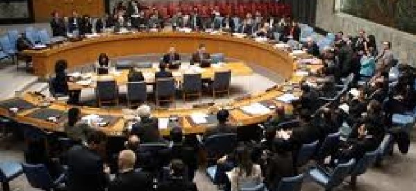 Afrique: Le Nigéria et le Tchad élus au Conseil de Sécurité de l’ONU