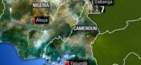 Cameroun : Un avion avec 11 personnes à bord s’écrase dans la forêt