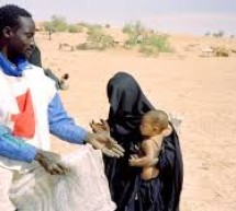 Mali: libération de cinq humanitaires maliens capturés le 8 février