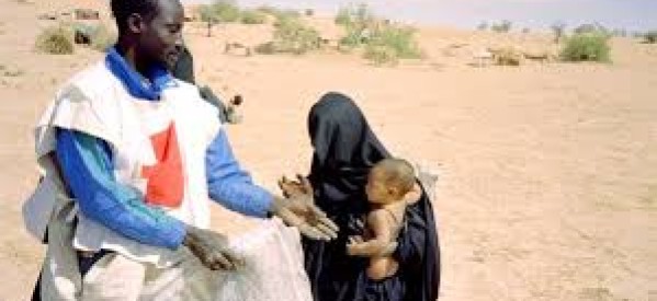 Mali : Deux employés de la Croix Rouge enlevés au nord du pays