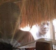 Monde / Afrique: Le paludisme régresse fortement, se réjouissent l’OMS et l’UNICEF
