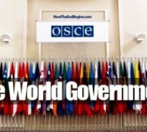 Ukraine: les sept observateurs de l’OSCE ont été libérés à Slaviansk