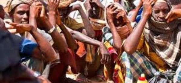 ONU / Afrique : la famine menace 14 millions de personnes