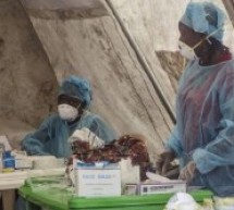 Madagascar:  l’apparition de la peste mobilise