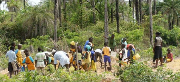 Casamance : Les autorités sénégalaises accentuent l’expropriation des terres