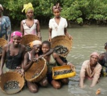 Casamance: Sindian, capitale authentique du Fogny est trop chère