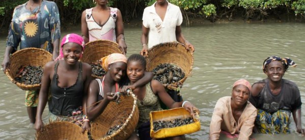 Casamance: Sindian, capitale authentique du Fogny est trop chère