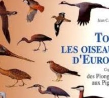 Europe: 421 millions d’oiseaux perdus en 30 ans