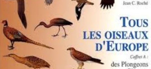 Europe: 421 millions d’oiseaux perdus en 30 ans