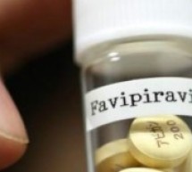Ebola:  Le Favipiravir, le médicament aux essais concluants