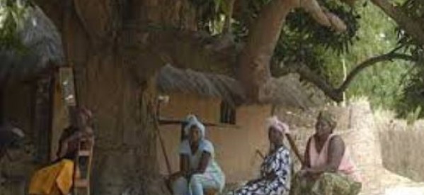 Casamance: violation des droits humains dans le village de Colomba par les militaires sénégalais