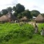 Casamance: Enquête: expropriation, spoliation et occupation illicite des terres refont surface
