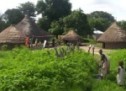 Casamance: Enquête: expropriation, spoliation et occupation illicite des terres refont surface