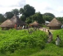 Casamance: Les populations de Nyassia en colère contre le siège de l’armée sénégalaise