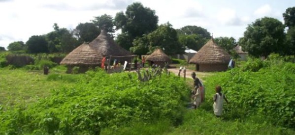 Casamance: arrestation du chef de village de Boukitigno près d’Oussouye par l’armée sénégalaise