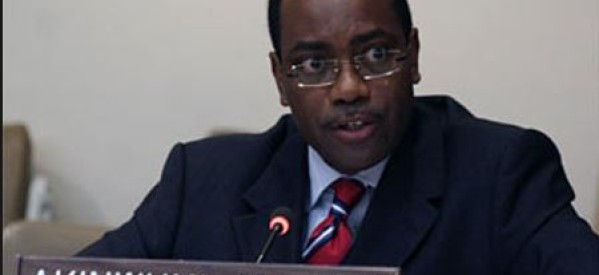 Côte d’Ivoire / Nigeria: Akinwumi Adesina élu président de la Banque africaine de développement (BAD)