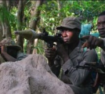 Casamance : Les forces combattantes des indépendantistes du MFDC en « état d’alerte maximale »