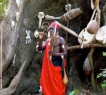 Casamance: Consultations gratuites par les hommes et les femmes des « bois sacrés »