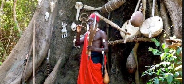 Casamance: Consultations gratuites par les hommes et les femmes des « bois sacrés »