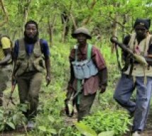 Casamance: les combats font rage et la guerre s’installe