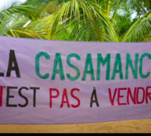 Casamance:  les colporteurs de la paix
