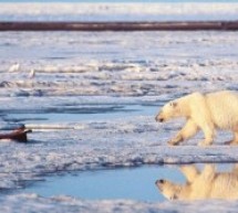 Etats-Unis / Alaska: Obama porte le combat sur le climat
