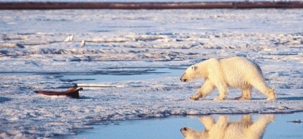 Etats-Unis / Alaska: Obama porte le combat sur le climat