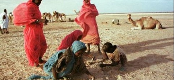 Mauritanie: deux militants antiesclavagistes libérés